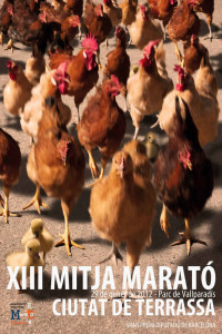 MITJA-TERRASSA