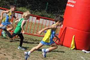 LUCAS